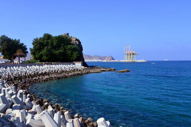 Why Seawall Construction in Palm Coast FL Is Essential for Waterfront Protection